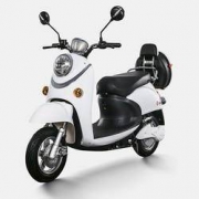 京东PLUS会员： Yadea 雅迪 1000050 电动车电瓶车