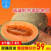 我们买过 全中国最好吃的哈密瓜 新疆火焰山西州蜜25号 2个共重7斤左右