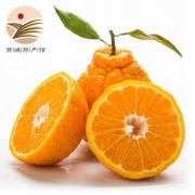 静益乐源 不知火丑柑 丑橘 5斤 *2件