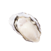 润福堂乳山生蚝5斤装单只70g以下