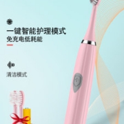 希尔顿 成人电动牙刷 柔软杜邦刷毛 3个刷头