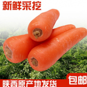白菜价 10斤，陕西 沙地水果胡萝卜