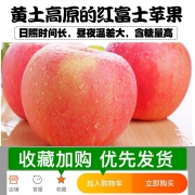 鲜蜜季 运城嘎啦苹果带箱10斤  券后16.8元