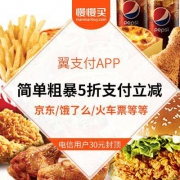 【编辑部下单下的快吐了】最后6小时：京东/饿了么/携程火车票/网易严选等等 所有商家统一半价支付立减 翼支付双12真的在烧钱
