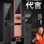 许邵雄代言！耐久 N2家用一握开智能密码指纹锁 券后268元包邮