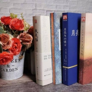 《人间失格+罗生门+我是猫+月亮与六便士》 全4册