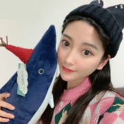 蓝白玩偶 小毛绒玩具 鲨鱼 50cm 6.6元包邮（双重优惠）