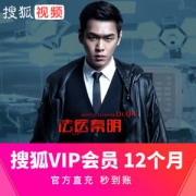搜狐视频 vip会员12个月