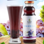 林源春  长白山寒地蓝莓 果汁饮料 320ml*8瓶 果汁70% 果粒7%