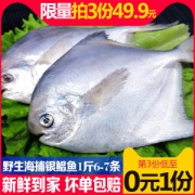 星渔 海捕野生冷冻银鲳鱼 3斤 每斤约6~7条