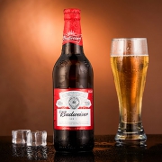 百威（Budweiser）啤酒 460ml*12瓶