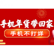 促销活动：苏宁易购 手机年货带回家