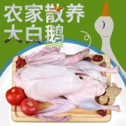 守绿 农家散养土鹅 6斤 活体现杀