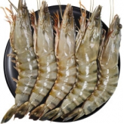18点开始：渔公码头严选 越南活冻黑虎虾(大号) 毛重600g 14-18只/盒 *3件