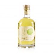 Durette 杜瑞特 低度青梅甜酒 5%vol 500ml 19元包邮（需用券）