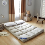 兰序 加厚保暖羽丝绒床垫 90*200cm 3.4kg 139元包邮（需用券）