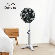 kamomefan日本海鸥电风扇静音落地扇立式家用定时遥控风扇251