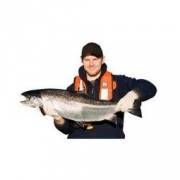 Marine Harvest 美威 整条三文鱼 大西洋鲑 4kg
