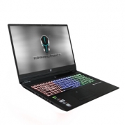 TERRANS FORCE 未来人类 T7光影刺客 17.3英寸游戏本（i7-9750H、32GB、1TB SSD 1TB、RTX2080Max-Q、144Hz） 18999元包邮