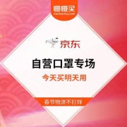 【呵护自己和家人的健康】京东自营口罩特卖专场 精选已更新
