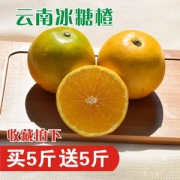 滇圣云南当季冰糖橙 带箱10斤