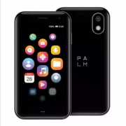 2日16点：Palm智能小手机  玄武灰