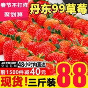 丹东东港 99红颜奶油草莓 3斤