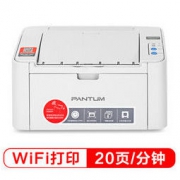 PANTUM 奔图 P2206NW 黑白激光打印机
