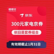 继续领 300元家电京券 组合套券 京东商城