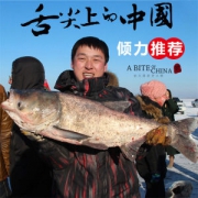 查干湖 有机野生胖头鱼 5斤 年货礼盒装