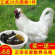 长生和 农家散养白凤乌鸡 净重750g*2只