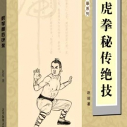 虎拳秘传绝技