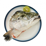 京东PLUS会员：Marine Harvest 美威 智利三文鱼头 大西洋鲑 400-700g *42件 279.88元（多重优惠）