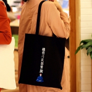 张家大院 圣上系列 总有刁民想害朕 帆布手提袋 28元包邮（需用券）