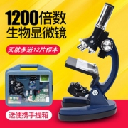 儿童1200倍数显微镜 4-16岁