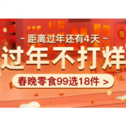 促销活动：考拉海购 过年不打烊 主会场