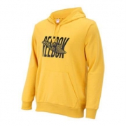 9日10：Reebok锐步 Y2K Logo Hoodie 男女复古休闲连帽卫衣 16209
