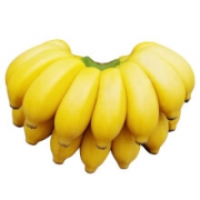 美味美 广西小米蕉 新鲜香蕉 现摘苹果蕉 带箱10斤