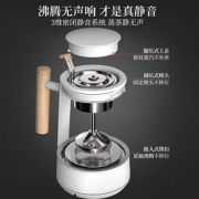 奥克斯 HX-Z0606F 黑茶煮茶器