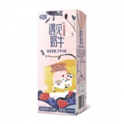 君乐宝(JUNLEBAO) 遇见奶牛 芝士莓果 乳味饮品 250ml*12盒/箱