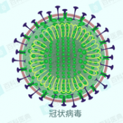新型冠状病毒目前已知的情报汇总