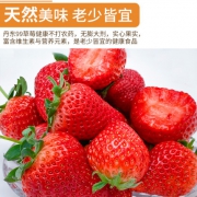 新低！丹东特产：果鲜创 九九奶油草莓 3斤盒装