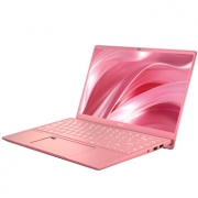 MSI 微星 Prestige 14 14英寸笔记本电脑（i7-10710U、16GB、512GB、GTX1650MQ、72%NTSC、雷电3） 9999元包邮