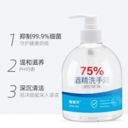 格耐尔 消字号75%酒精免洗洗手液 500ml