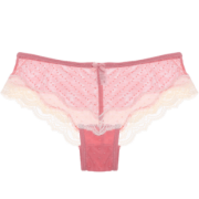 PINKDEAR 9635 女士蕾丝内裤 5条装 19元包邮（需用券）