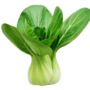 屹鲜  青菜小油菜 5斤 21.8元包邮（需用券）