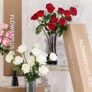 10点：FlowerPlus 花加 情人节玫瑰花束礼盒 12枝