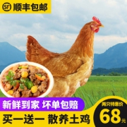 新鲜现杀三黄鸡 950g*2只