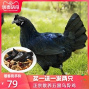 守绿 现杀新鲜农家散养300天乌骨鸡 800g*2只
