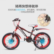 凤凰牌 自行车/山地车 18-22寸